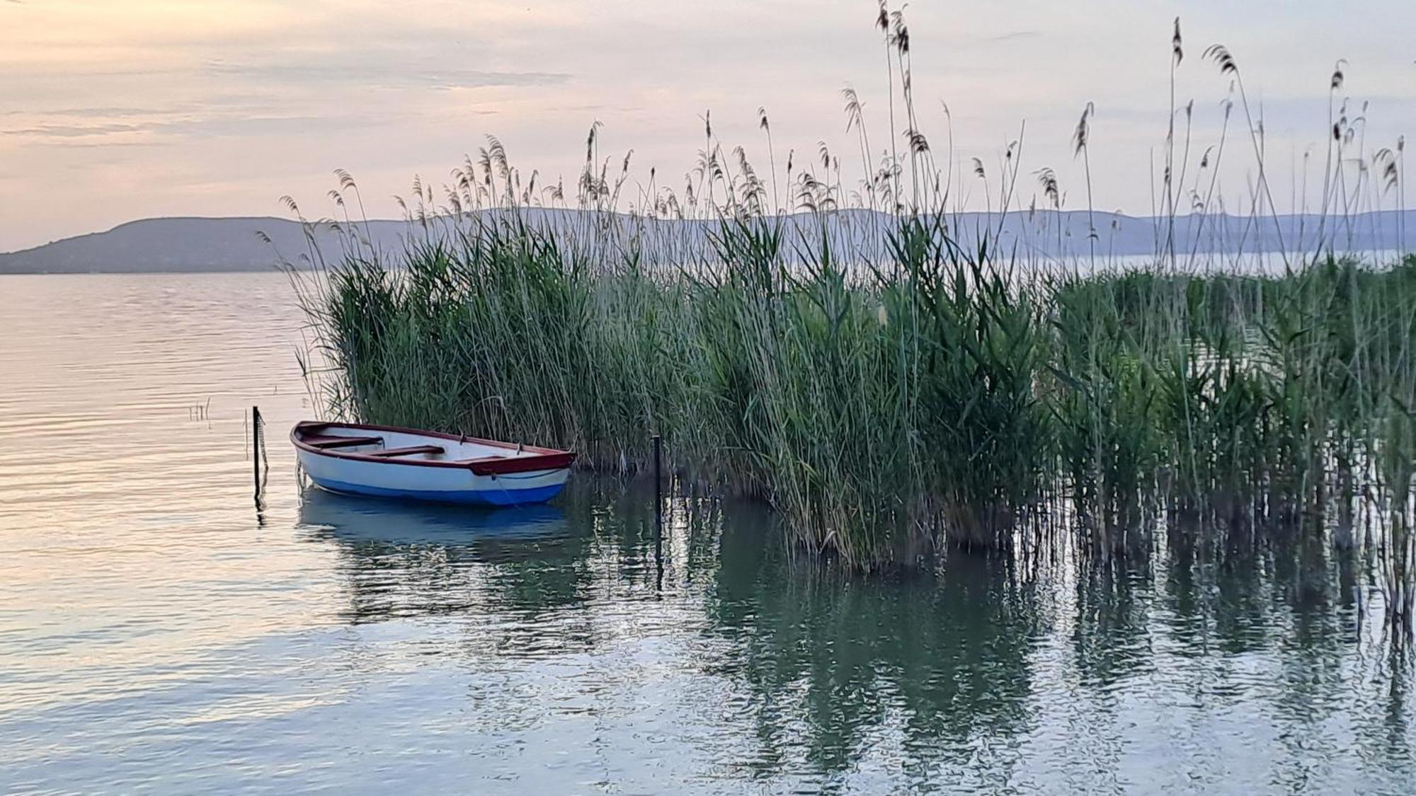 Panoramic Art Apartment With Jacuzzi Balatonlelle Buitenkant foto