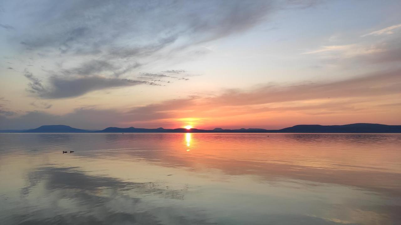 Panoramic Art Apartment With Jacuzzi Balatonlelle Buitenkant foto